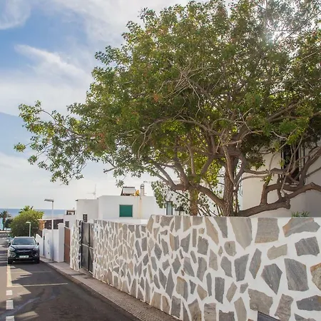 Palm * Puerto del Carmen (Lanzarote)