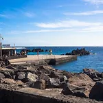 Palm * Puerto del Carmen (Lanzarote)