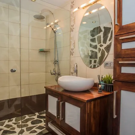 Palm * Puerto del Carmen (Lanzarote)