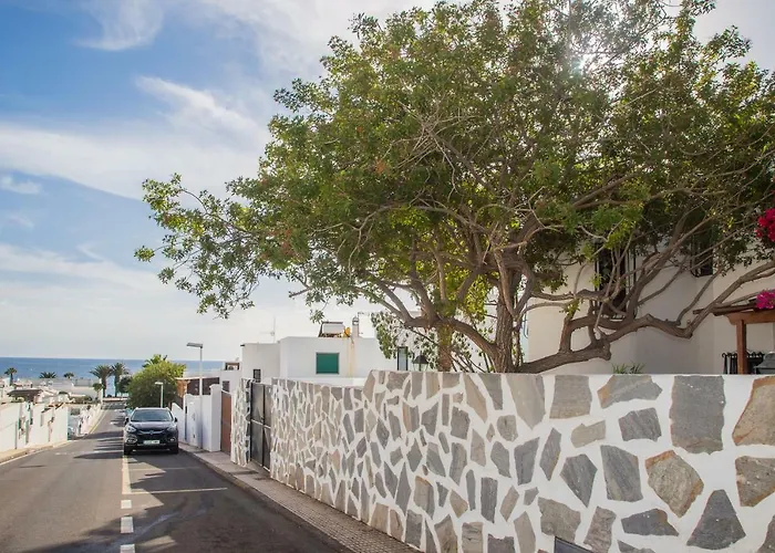 Palm * Πουέρτο Ντελ Κάρμεν