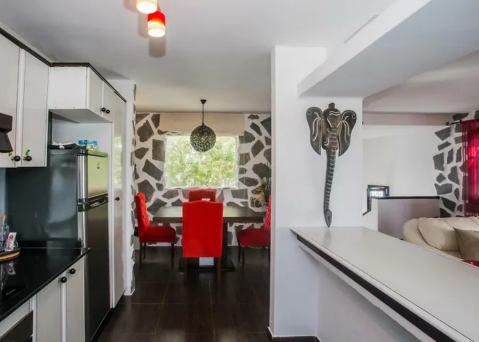 Palm Πουέρτο Ντελ Κάρμεν