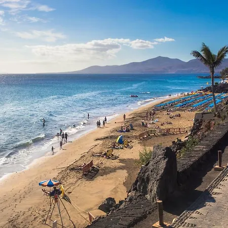 Dom wakacyjny Palm *