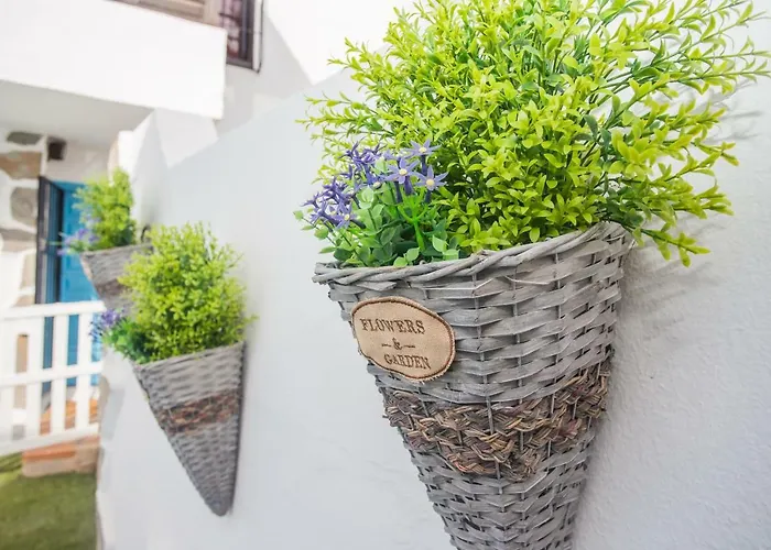 Palm Hébergement de vacances