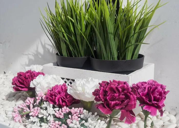 Hébergement de vacances Palm Puerto del Carmen (Lanzarote)